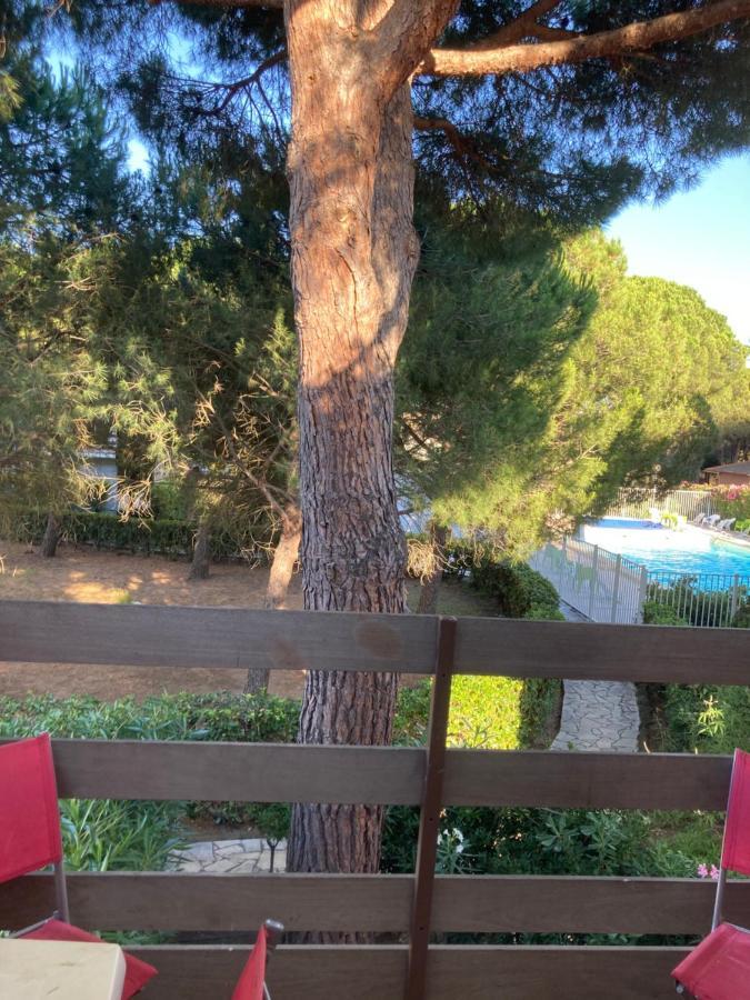 Residence Piscine Proche Village Naturiste - Pinede 아그 외부 사진